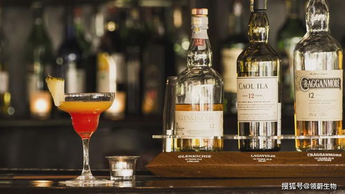 科技部警示 酒精是一類致癌物，小酌亦傷身