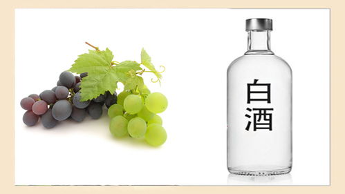 酒桌上“千杯不倒”的秘密，快來看看你知道幾個